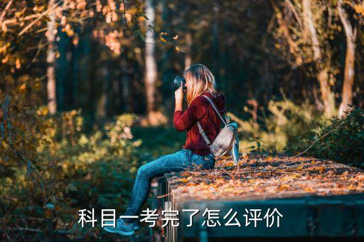 考駕照評(píng)價(jià),如何評(píng)價(jià)駕考...